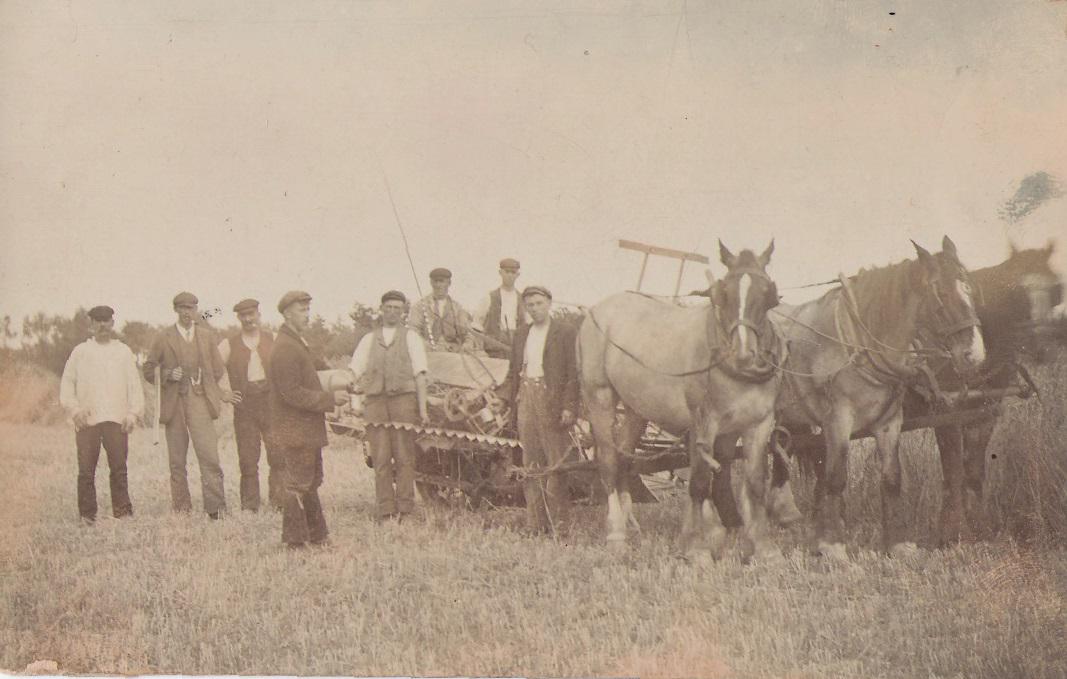 Undated - Farming Scene 3